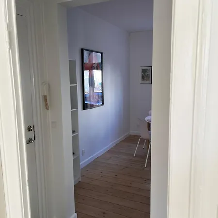 Stor I Smorhullet Af Centrum * Odense