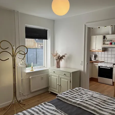 Stor I Smorhullet Af Centrum * 오덴세